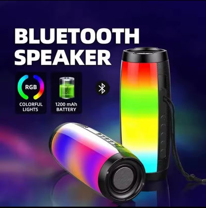ZQS1202 Wireless Speaker