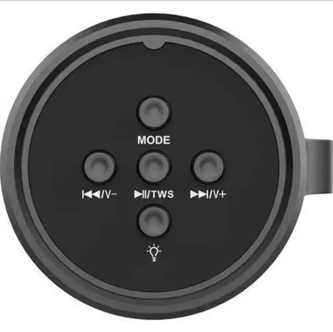 ZQS1202 Wireless Speaker
